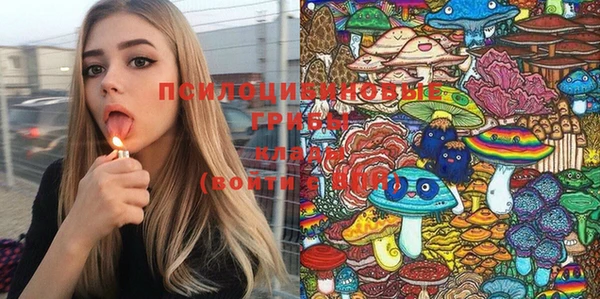 соль курить ск Кулебаки