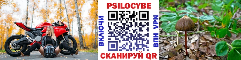 цены наркотик  Ахтырский  Псилоцибиновые грибы мухоморы 